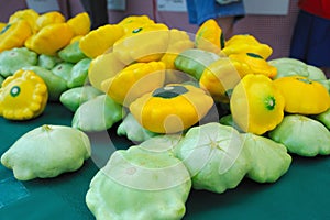 Pattypan or Sunburst Squash