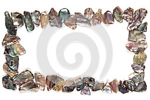 Paua Shell Border