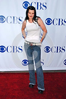 Pauley Perrette