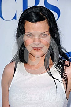 Pauley Perrette
