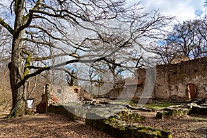 Pauline monastery ruin on the hungarian hiking trail near Badacsony in Salfold