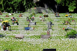 Paupers cemetery photo