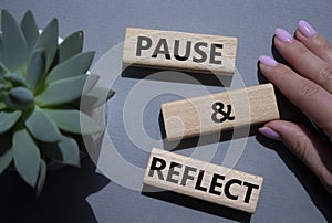 Pause and Reflect symbol. Concept words Pause and Reflect on wooden blocks. Beautiful grey background with succulent plant.