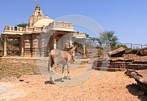 Pavagadh Archaeological Park World Heritage Site Panchmahal di