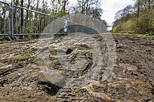 Pave d`Arenberg