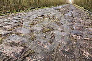 Pave d`Arenberg