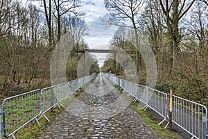 Pave d'Arenberg