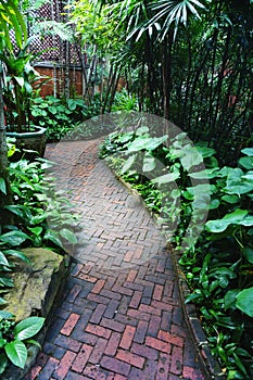 Brick walkway through a lush tropical garden