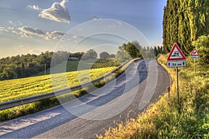 Paved country road in Tuscany