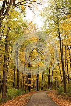 A paved, curved path through a forest preserve in the autumn with beautiful fall foliage in Kenosha, Wisconsin