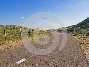 Paved cycle track with dividing line in the Amsterdam water supply dunes near to Amsterdam and Zandvoort