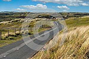 Paved cycle track through the Zuid Kennemerland nature park, Zandvoort beach dunes, Holland, Netherlands photo