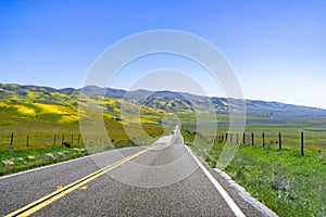 Paved highway going through mountains covered in wildflowers, Carrizo Plain National Monument area, Central California