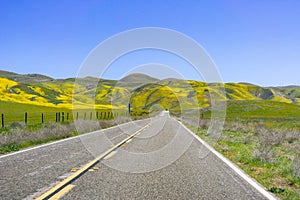 Paved highway going through mountains covered in wildflowers, Carrizo Plain National Monument area, Central California