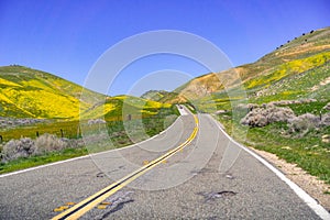 Paved highway going through mountains covered in wildflowers, Carrizo Plain National Monument area, Central California