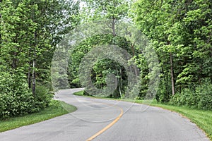 Paved highway twisting and curving through the forest in the summer time.