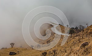 Paved mountain road through valley disappearing into mist or fog