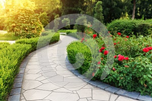 paved path in beautiful landscaped garden. flowerbed with red roses