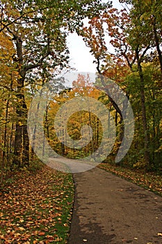 A paved path through a forest with yellow, orange and green leaves on the trees and leaves littering the grass in Wisconsin