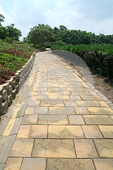 Paved path in a park photo