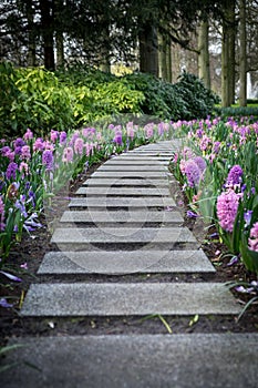 Paved pathway with flowers on sides