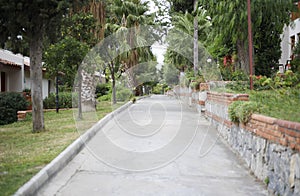 Paved pathway with palm trees and green bushes on both sides leading to the sea or park. Walking path