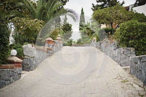 Paved pathway with palm trees and green bushes on both sides leading to the sea or park. Walking path