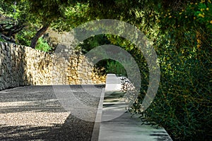 Paved pathway in a park, green trees with dangling branches, shadow and sunglight