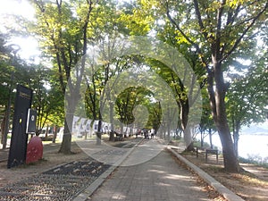 Paved pedestrian way or walk way with trees on sides for public walk