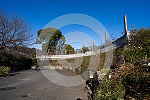 a paved road in front of a forest with shrubbery