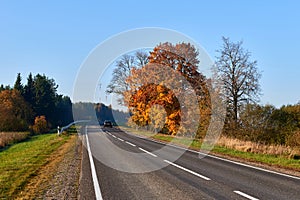 Paved road surrounded by trees during peak colors of Autumn