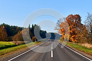 Paved road surrounded by trees during peak colors of Autumn