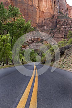 Paved road, Zion National Park