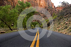 Paved road, Zion National Park