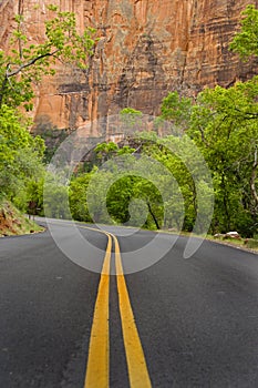 Paved road, Zion National Park