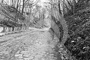 Paved with setts road in valley in black and white in Kazimierz Dolny.