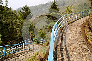 Paved stone curved footpath in rock garden