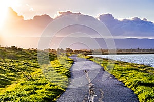 Paved trail illuminated by the evening sunlight on the shoreline of south San Francisco bay area, Mountain View, California