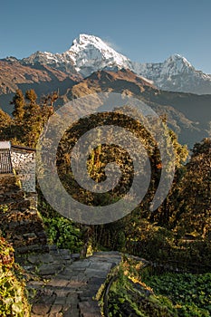 Paved trail north of Ghandruk, Nepal, leading to Annapurna South