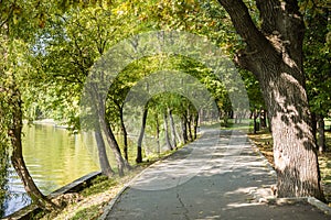 Paved walking path in Herastrau Park