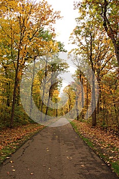 A paved walking trail through a forest with yellow, orange and green leaves decorating the trees in autumn in Kenosha, Wisconsin