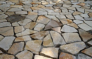 Pavement bricks texture