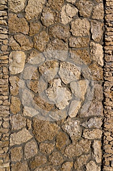 Pavement bricks texture