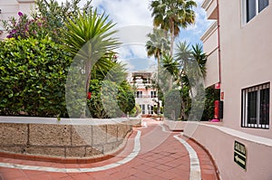 A pavement between buildings with flowers and palm trees.