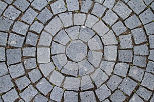 Pavement Circle Pattern Closeup