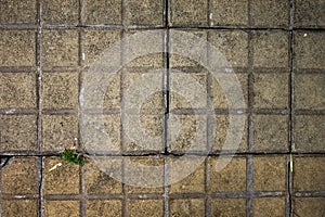 Pavement Floor Detail Street Pattern Foothpath