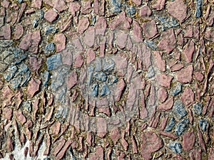 Pavement lined with different stones.