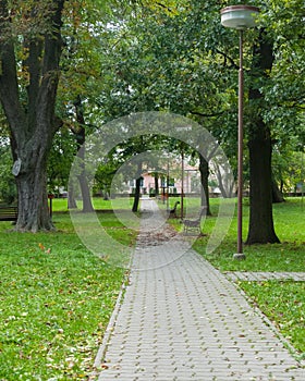 Pavement made of stone