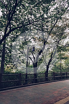 Pavement in Namsan park in Seoul