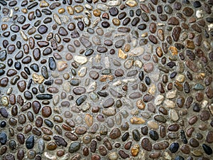 The pavement is paved with stones of approximately the same size. A multi-colored pattern of small stones wet from the rain.